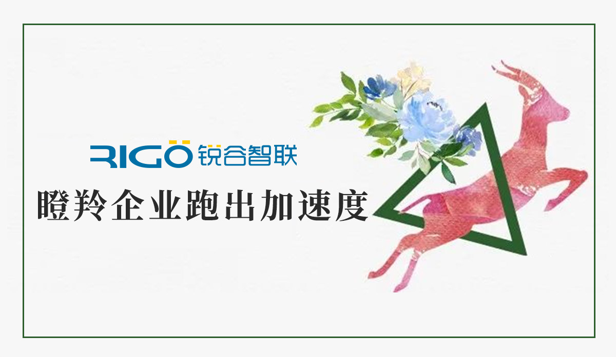 火炬高新區(qū)助力“瞪羚”企業(yè)跑出加速度，超半數(shù)分布廈門軟件園